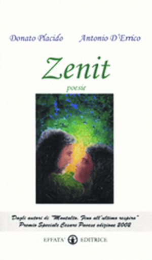 Copertina del libro Zenit