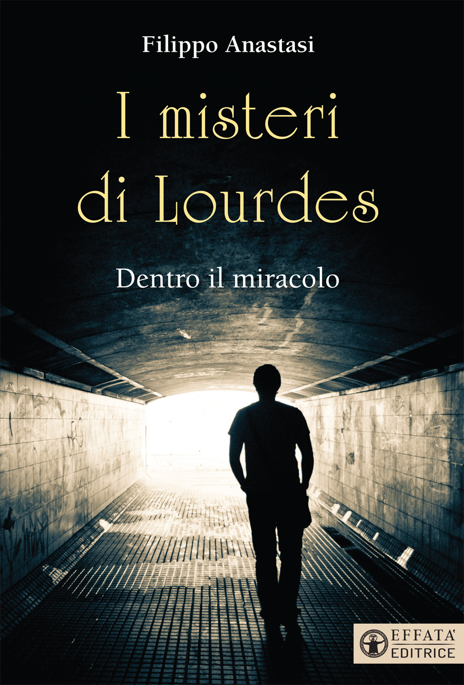 Copertina del libro I misteri di Lourdes