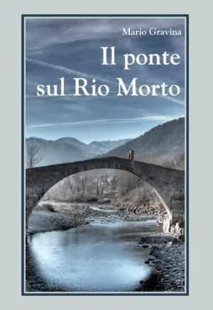Copertina del libro Il ponte sul Rio Morto