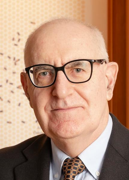 foto di Paolo Marino Cattorini